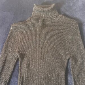 Express Shimmering Black Turtleneck Sweater